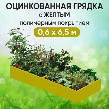 Грядка желтая (0,6 х 6,5)